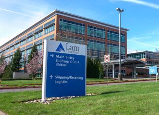 National Volatility versus Local Stability