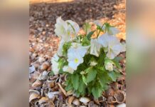 Late, Early, and Right On Time