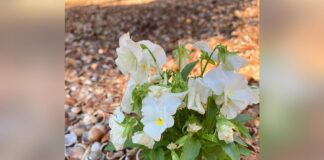 Late, Early, and Right On Time