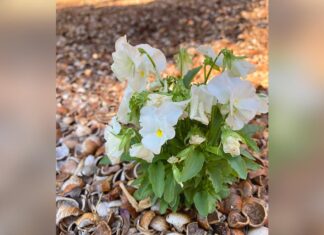 Late, Early, and Right On Time