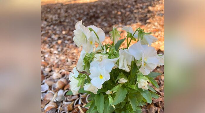 Late, Early, and Right On Time