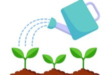 Embracing Water Conservation in Tualatin