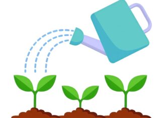 Embracing Water Conservation in Tualatin