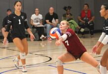 Former coach returns to lead young volleyball program