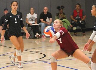 Former coach returns to lead young volleyball program