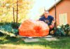 Regatta Champ Plans Pumpkin Journey World Record Bid on the Columbia