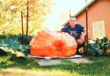 Regatta Champ Plans Pumpkin Journey World Record Bid on the Columbia