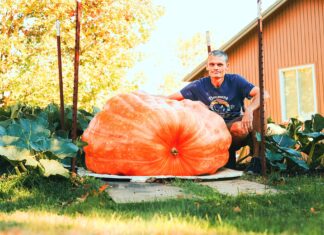 Regatta Champ Plans Pumpkin Journey World Record Bid on the Columbia