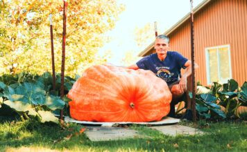 Regatta Champ Plans Pumpkin Journey World Record Bid on the Columbia