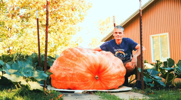 Regatta Champ Plans Pumpkin Journey World Record Bid on the Columbia
