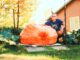 Regatta Champ Plans Pumpkin Journey World Record Bid on the Columbia