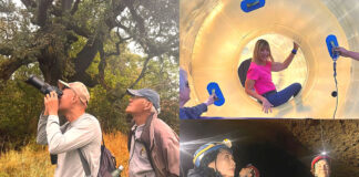 NEW Wellness & Longevity Classes at the Juanita Pohl Center