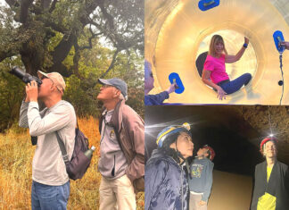 NEW Wellness & Longevity Classes at the Juanita Pohl Center