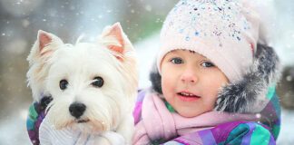 Cold Weather, Cozy Pets