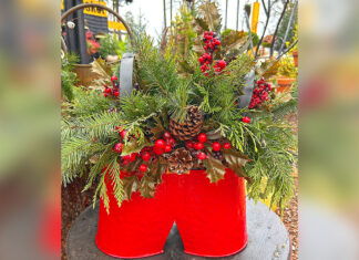 Dressing for the Occasion