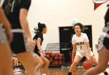 Young and experienced Timberwolves look to build off recent success