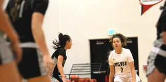 Young and experienced Timberwolves look to build off recent success