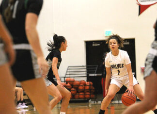 Young and experienced Timberwolves look to build off recent success