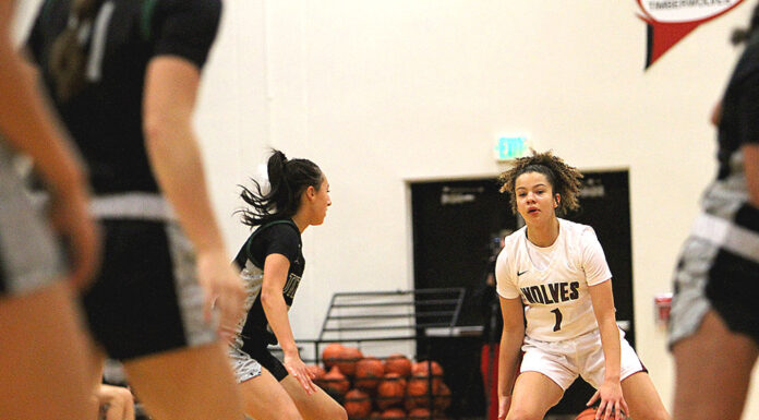 Young and experienced Timberwolves look to build off recent success