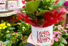 What’s Love got to do with it?