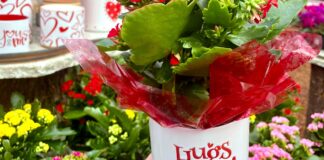 What’s Love got to do with it?