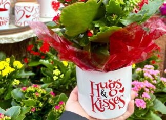 What’s Love got to do with it?