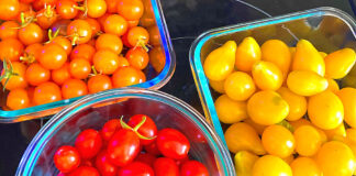 Jack of all Tomatoes