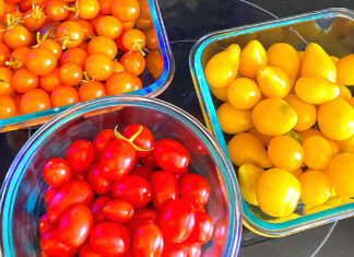 Jack of all Tomatoes