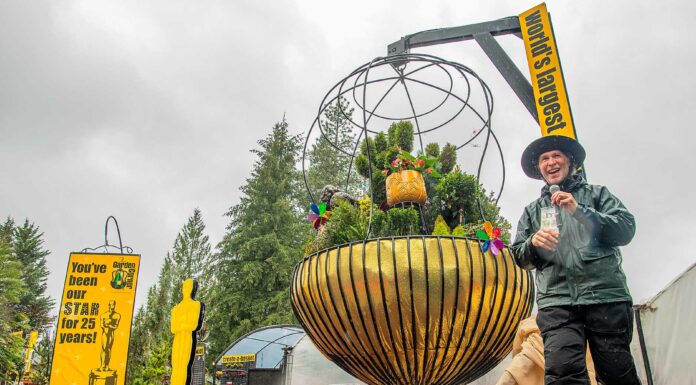 The Garden Corner celebrates 25 Years with World’s Largest Hanging Basket – Spring Edition unveiling Jonn Karsseboom, owner of The Garden Corner in Tualatin, unveils the new 2025 spring edition of the world's largest hanging basket. PHOTO/JOSIAH PENSADO