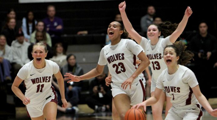 Timberwolves erase near 20-point deficit to win first state title in school history The Timberwolves erupt in celebration after a furious second-half comeback to win the school's first state title in girls basketball.