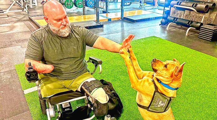 Hope Springs Eternal