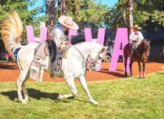 Tualatin Comes Alive at ¡Viva Tualatin! A Festival of Culture, Food, and Fun