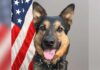 Tualatin Police K-9 Tony Retires