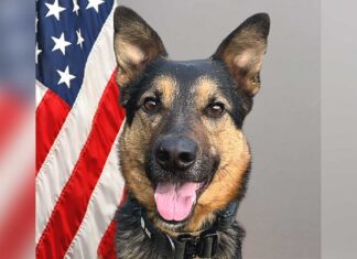 Tualatin Police K-9 Tony Retires
