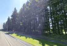 Local Developer and City Officials Search for a Path to Preserve Norwood Trees Developer Ken Allen and the City of Tualatin are searching for a path to preserve this swath of trees along Allen's 9.3-acre housing development