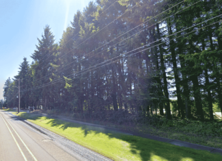Local Developer and City Officials Search for a Path to Preserve Norwood Trees Developer Ken Allen and the City of Tualatin are searching for a path to preserve this swath of trees along Allen's 9.3-acre housing development