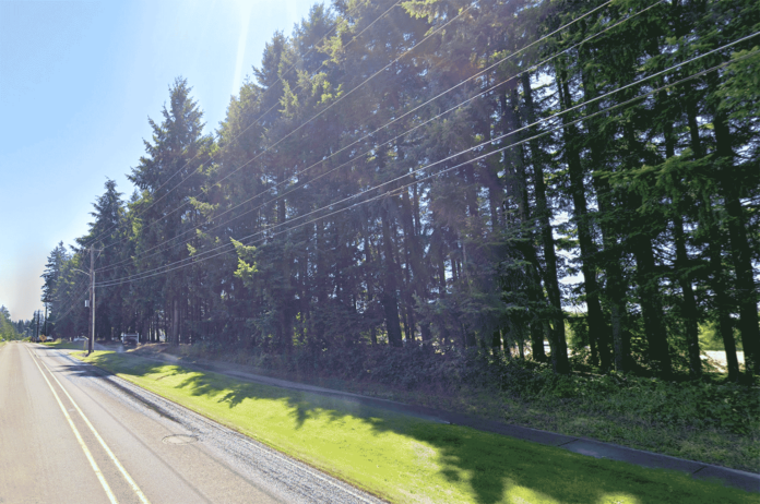 Norwood-Road-Trees-courtesy-of-Google-Maps Developer Ken Allen and the City of Tualatin are searching for a path to preserve this swath of trees along Allen's 9.3-acre housing development