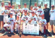Tualatin youth baseball team wins state title
