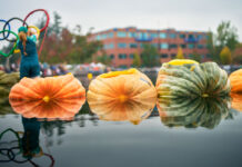 About the Pumpkin Regatta/Schedule of Events