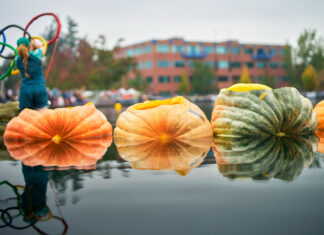 About the Pumpkin Regatta/Schedule of Events