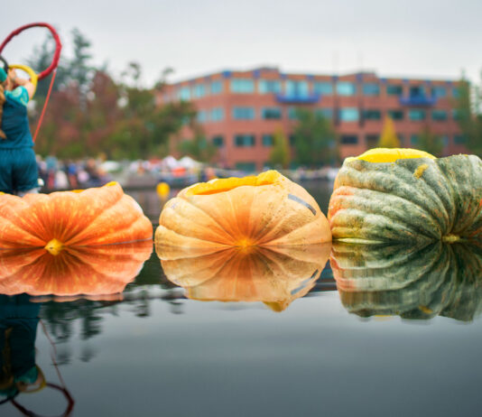 About the Pumpkin Regatta/Schedule of Events