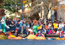 The Giant Pumpkins Return to Tualatin!
