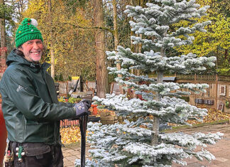 Smells Like Christmas To Me