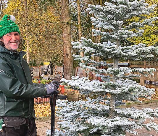 Smells Like Christmas To Me