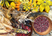 This Thanksgiving, Consider a Shift Toward Indigenous Food Traditions