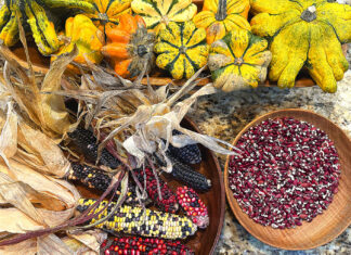 This Thanksgiving, Consider a Shift Toward Indigenous Food Traditions