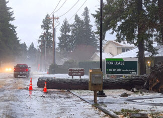 Tualatin CIO President’s Report November 2025