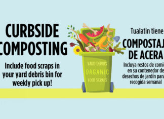 Compost at the Curb: Your Food Scraps Are Ready!