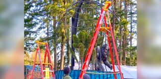 Life of a Ringleader