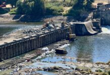 Southern Oregon dam operators face intensifying legal battles after 2023 lamprey killing The 135-year-old Winchester Dam near Roseburg underwent repairs from August to early September 2023 that led to water contamination and the death of more than half-a-million Pacific lamprey. State agencies have fined the dam operators tens of millions of dollars, which the operators are attempting to appeal (Photo by Kirk Blaine/Native Fish Society)